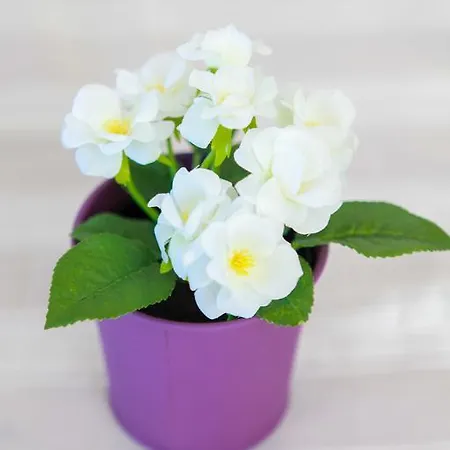 Blue Sea Appartement *